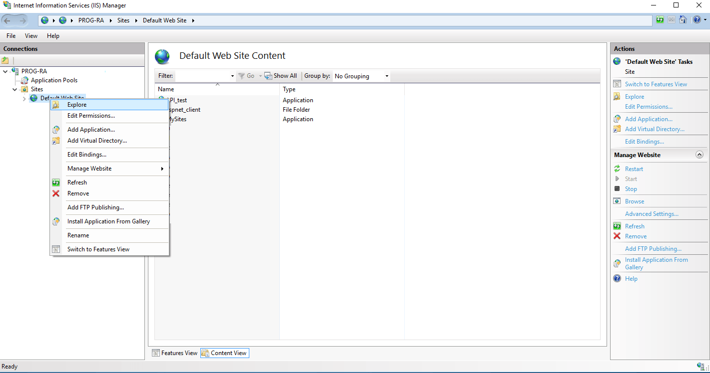 IIS Manager Dashboard