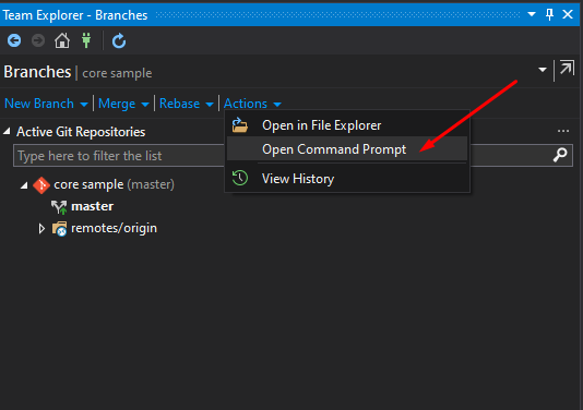 Git Command Prompt