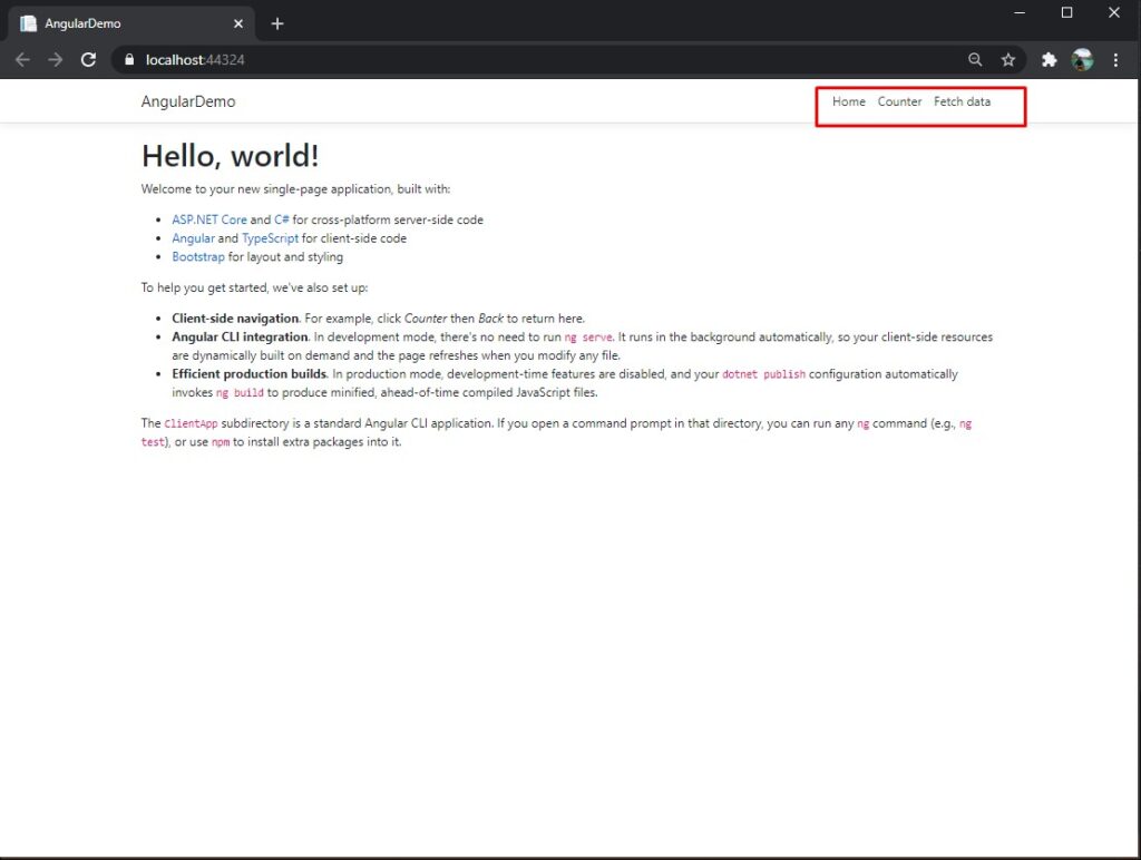 Default Angular template - Angular 11 application with ASP NET Core