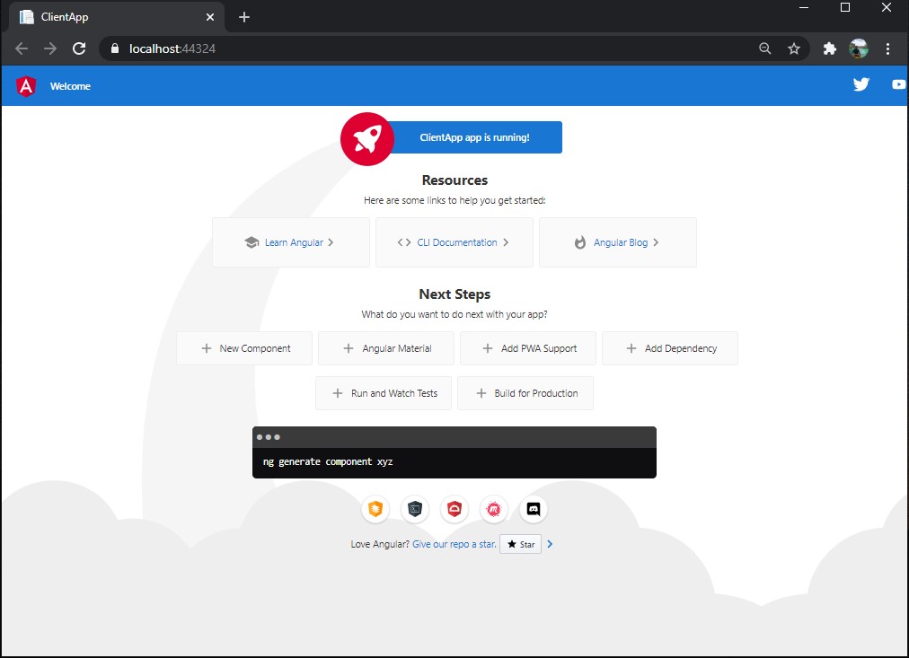 Angular 11 application with ASP NET Core