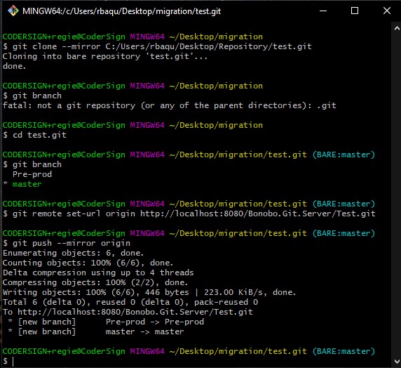 Push an Existing Remote Repository