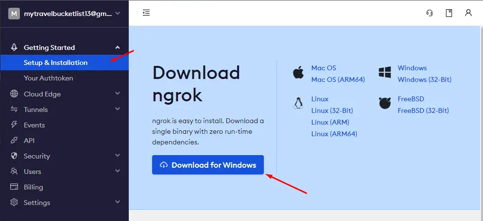 Download ngrok for windows