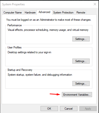 Environment Variables