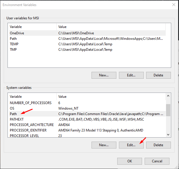 Edit Path system variable