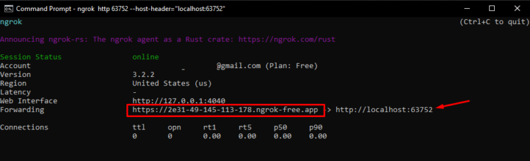 Install Ngrok on Windows